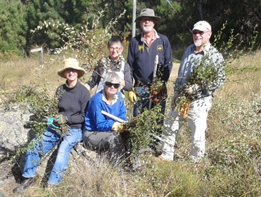 Bushcare Volunteer Group