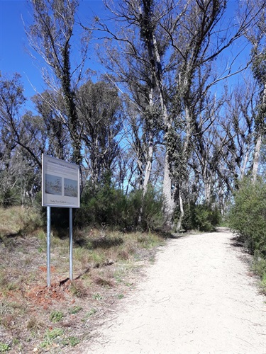 Mount Mutton Heritage Walk - Rocky River Gold Fields Precinct