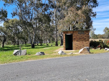 Emu Crossing 4