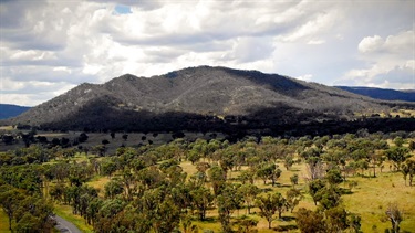 Bulagaranda Aboriginal Area (Mount Yarrowyck)