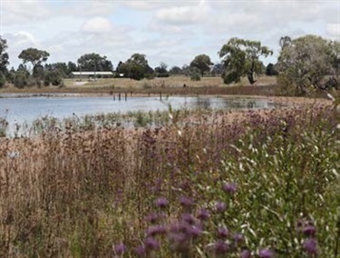 Dangars Lagoon