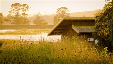 Dangars Lagoon Birdhide