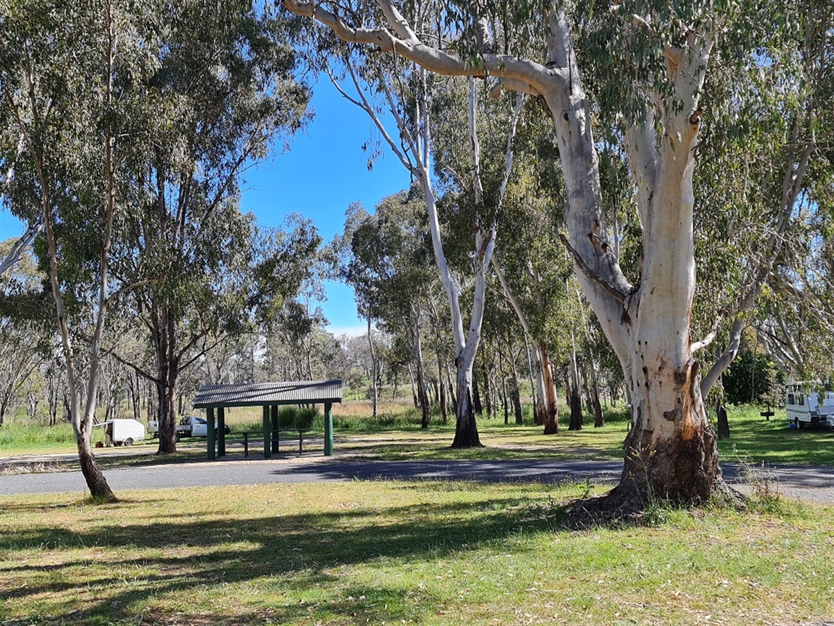 bundarra-lion-s-park-emu-crossing-campground-uralla-shire-council