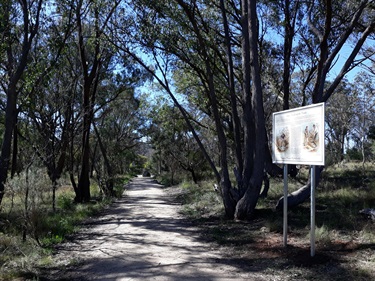 Mount Mutton Heritage Walk
