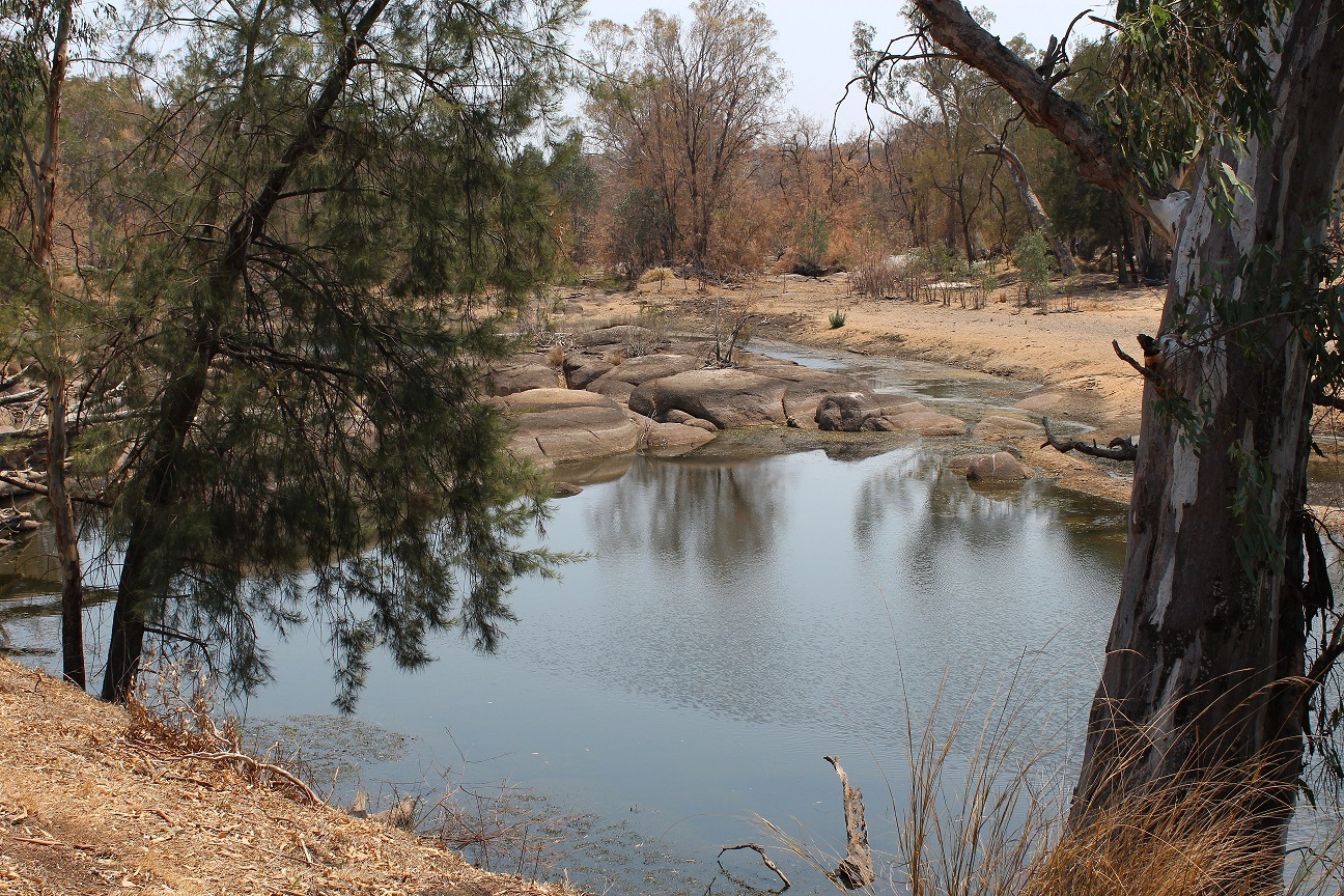 The-Gwydir-River-on-Bingara-Road-5-January-2020.jpg