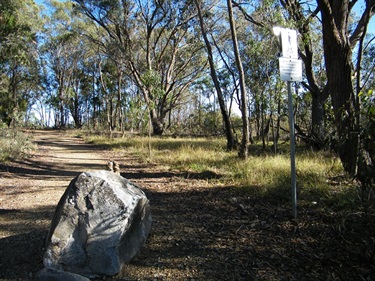 Mount Mutton Walking Track