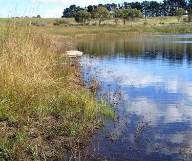 Racecourse Lagoon