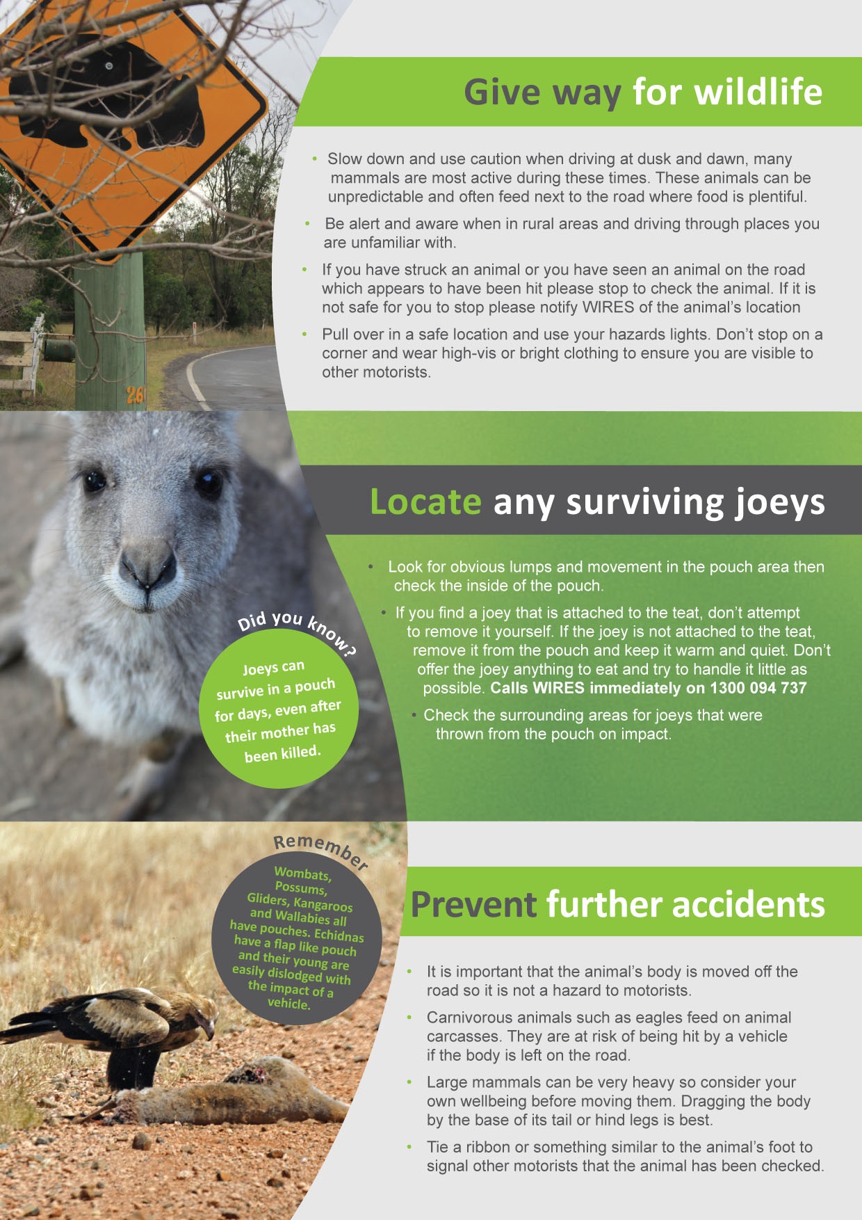 WIRES-Driver-Brochure.jpg