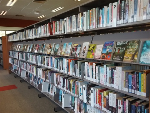library_shelves.jpg