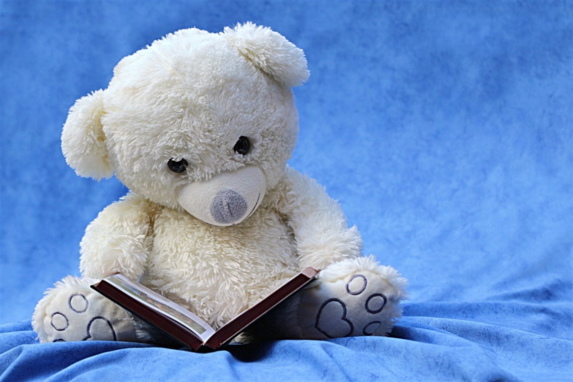 teddy-reading.jpg