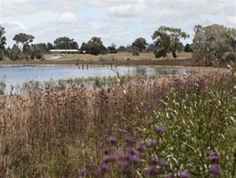Dangars-Lagoon.jpg