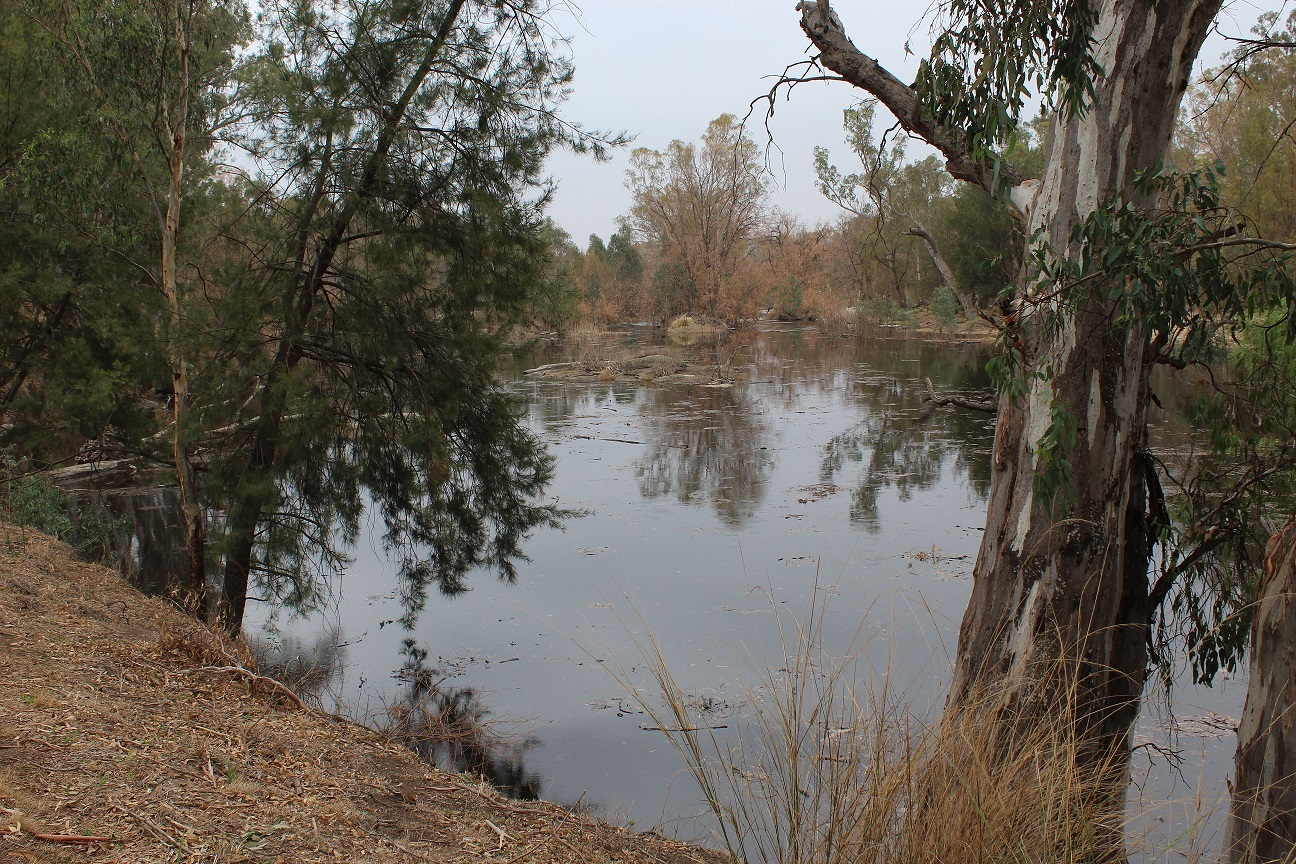 The-Gwydir-River-on-Bingara-Road-11-January-2020.jpg