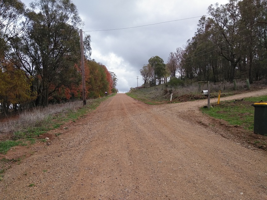 MtMitchellRoad1.jpg