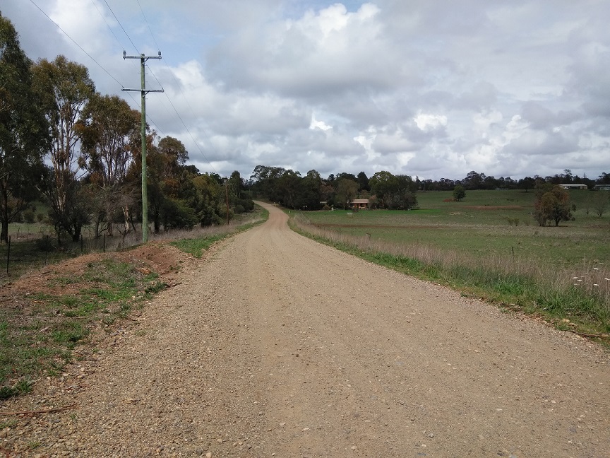 MtMitchellRoad2.jpg