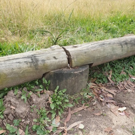 Log-Barriers-1.jpg