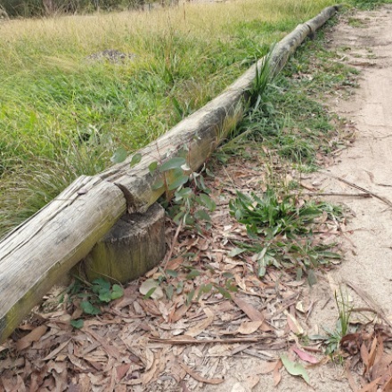 Log-Barriers-2.jpg