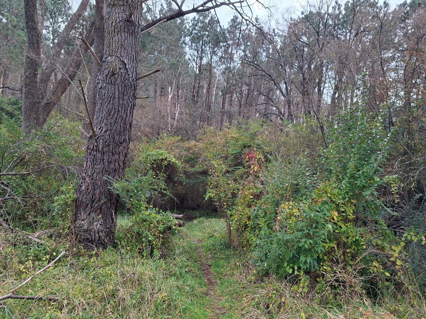 Picture2.jpg